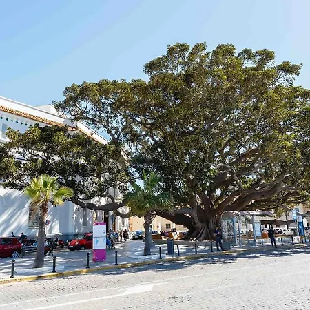 Pasacalles By Cadiz4rentals * 加的斯