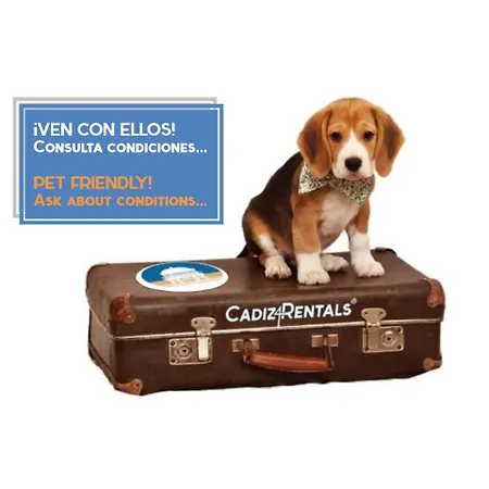 Pasacalles By Cadiz4rentals 公寓