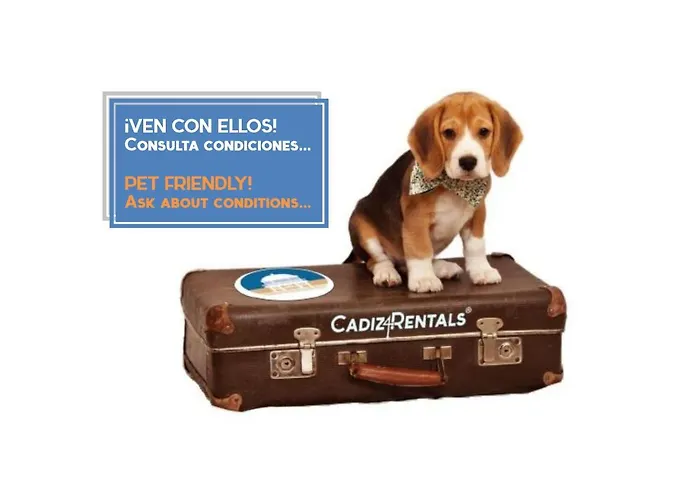 Pasacalles By Cadiz4rentals Apartment