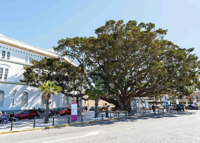 Pasacalles By Cadiz4rentals * كاديز